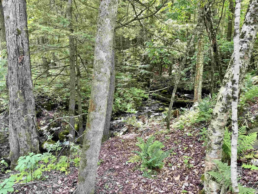 62 Foundry Road Tunbridge VT 05077