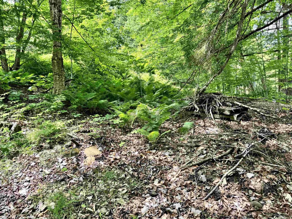 62 Foundry Road Tunbridge VT 05077