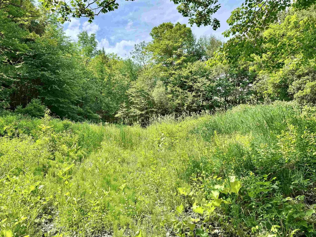 62 Foundry Road Tunbridge VT 05077