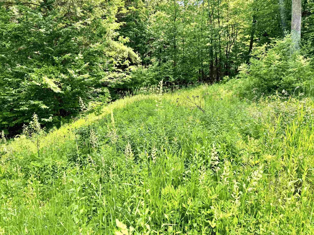 62 Foundry Road Tunbridge VT 05077