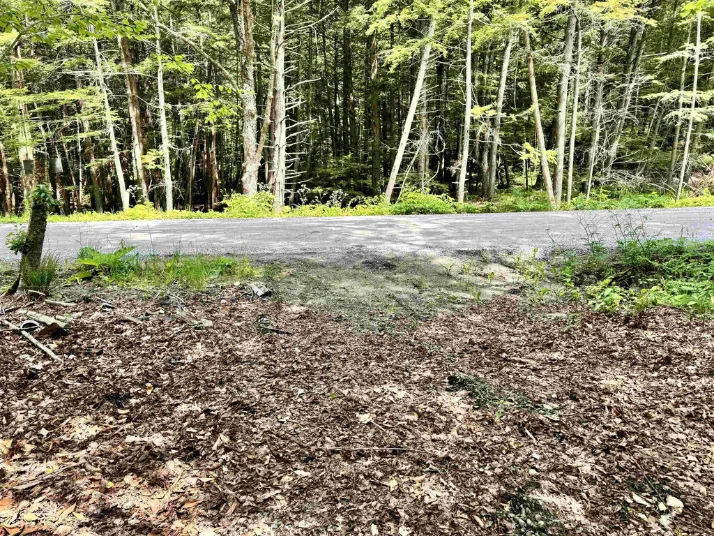 62 Foundry Road Tunbridge VT 05077