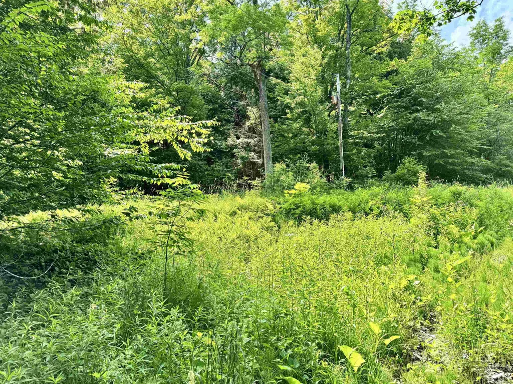 62 Foundry Road Tunbridge VT 05077