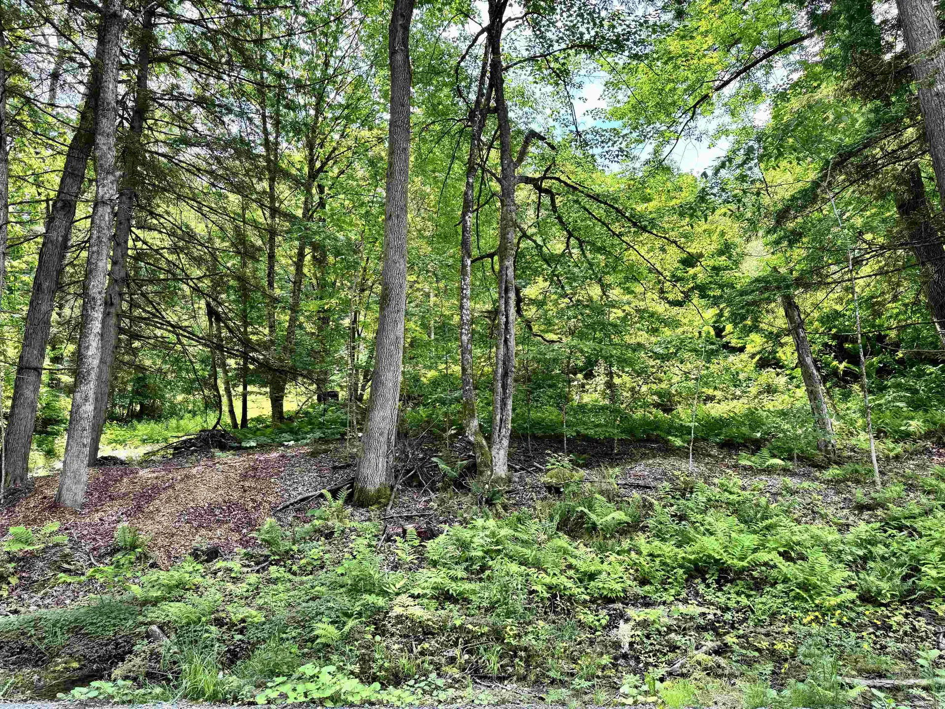 62 Foundry Road Tunbridge VT 05077