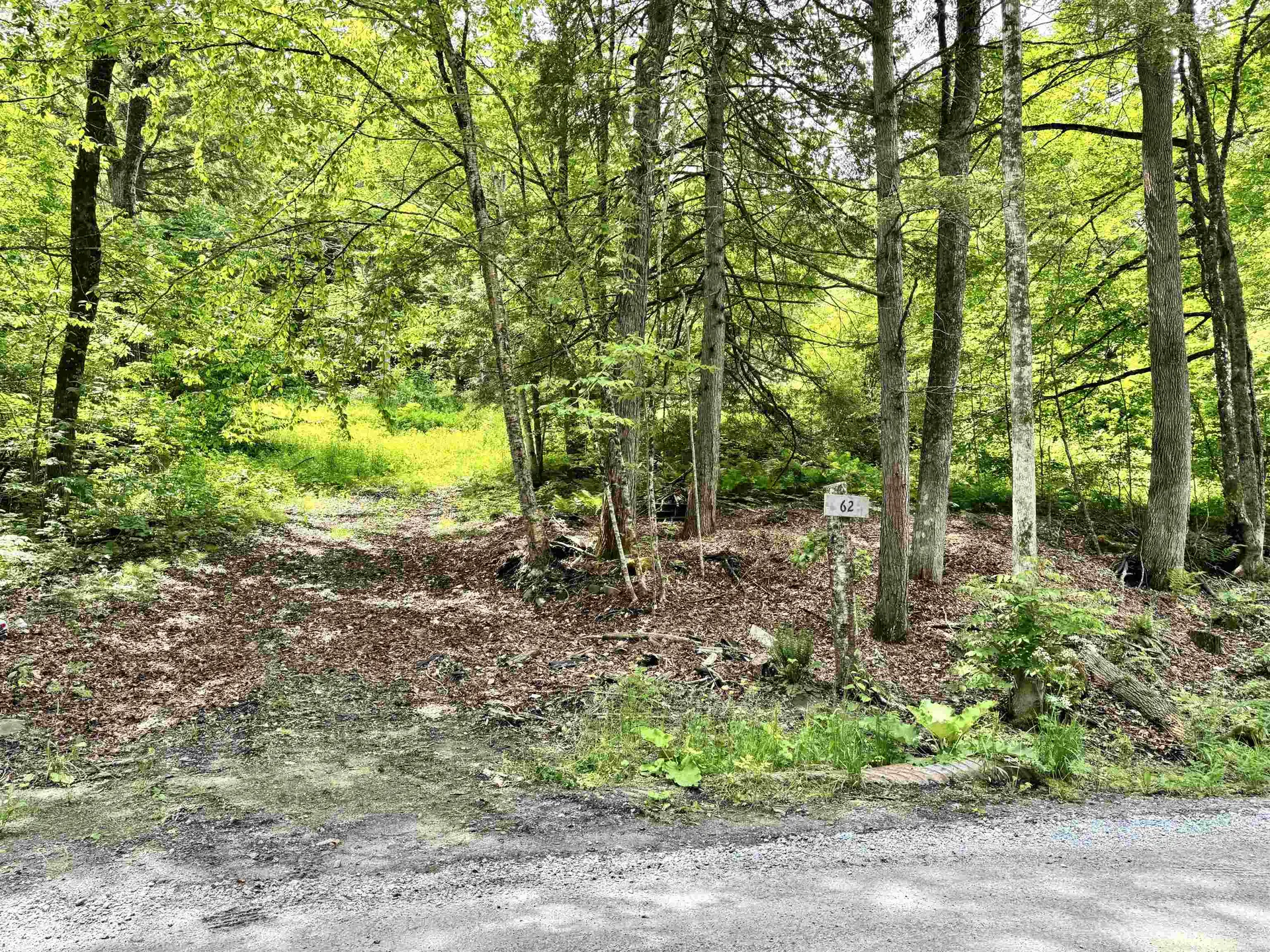 62 Foundry Road Tunbridge VT 05077