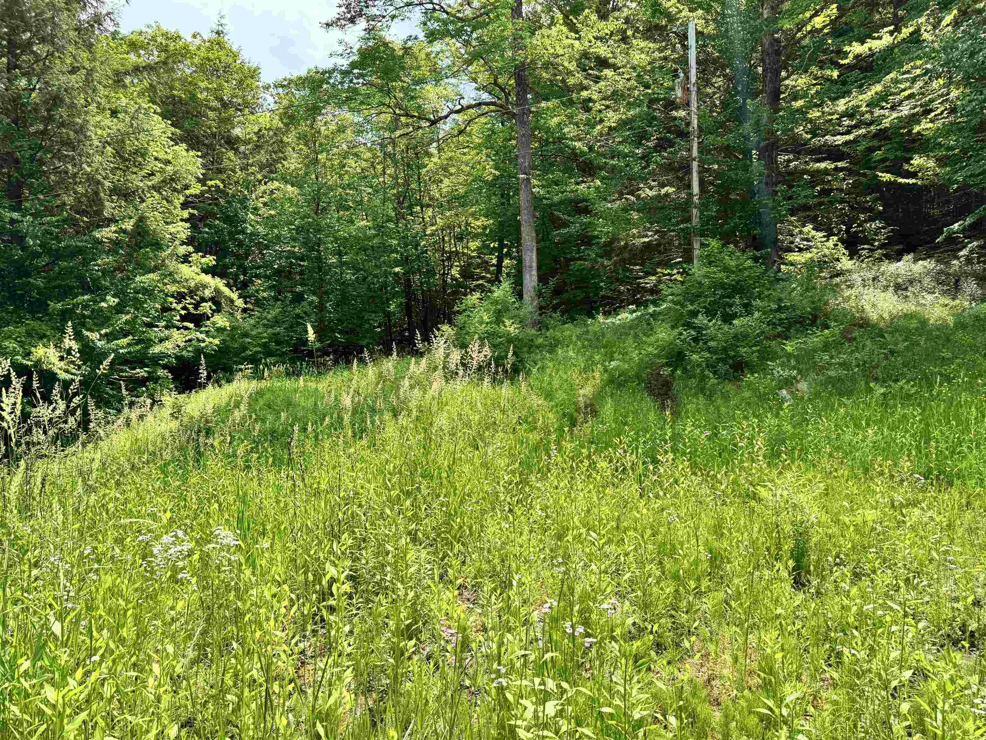 62 Foundry Road Tunbridge VT 05077