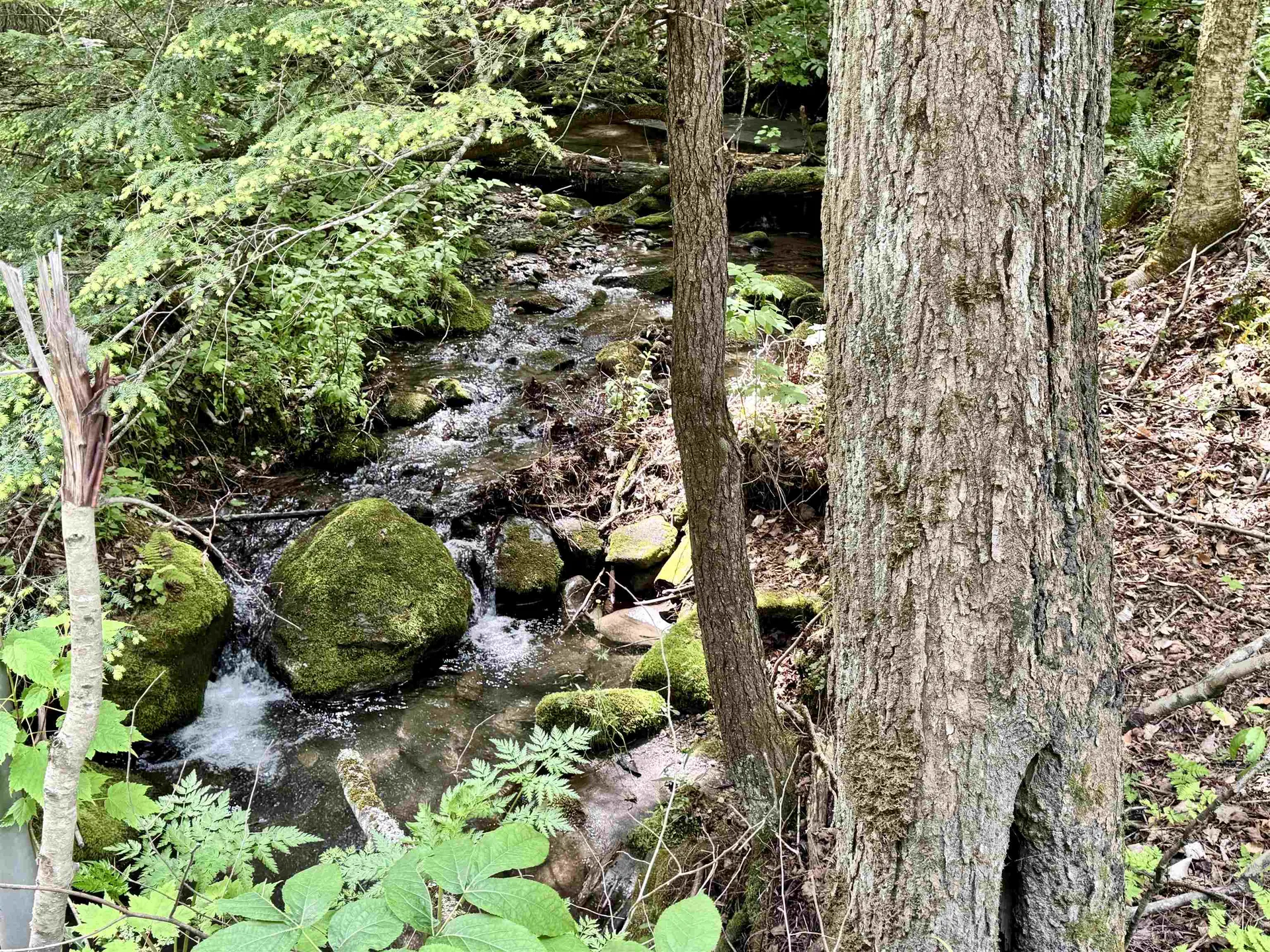62 Foundry Road Tunbridge VT 05077