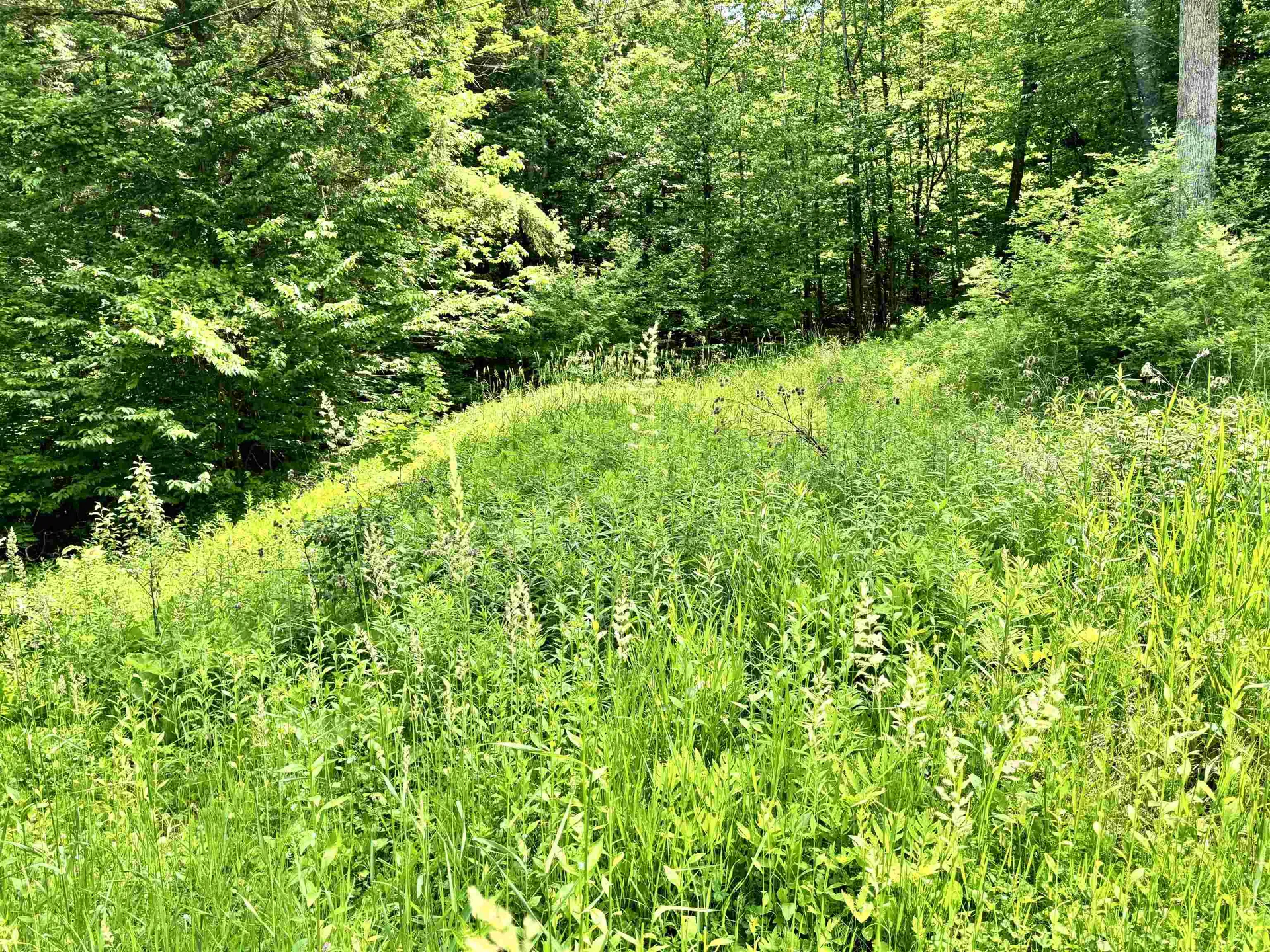 62 Foundry Road Tunbridge VT 05077