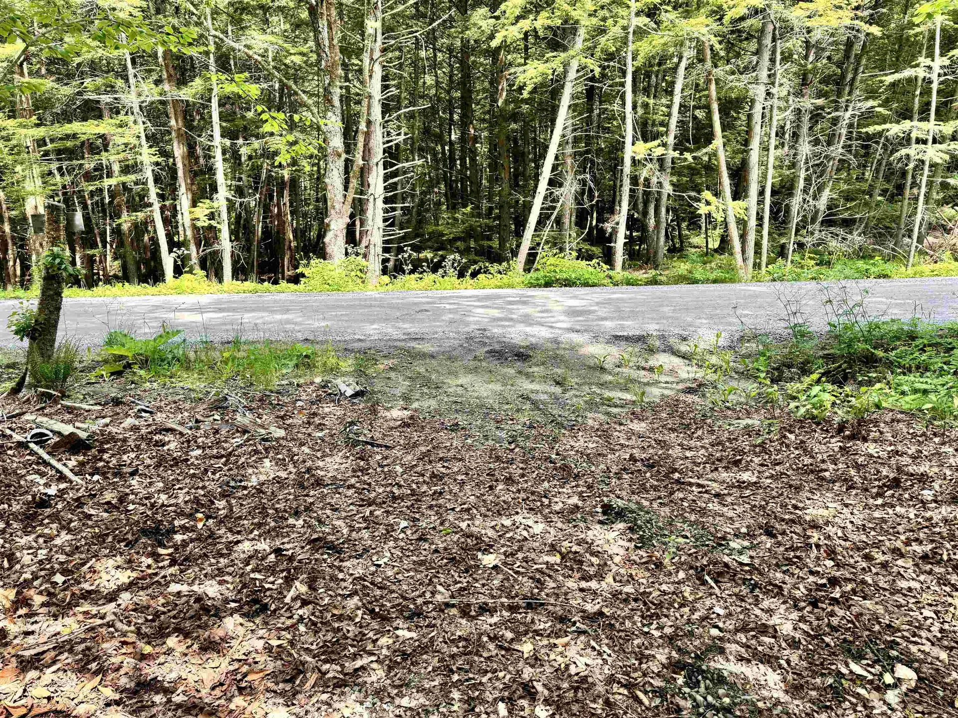 62 Foundry Road Tunbridge VT 05077