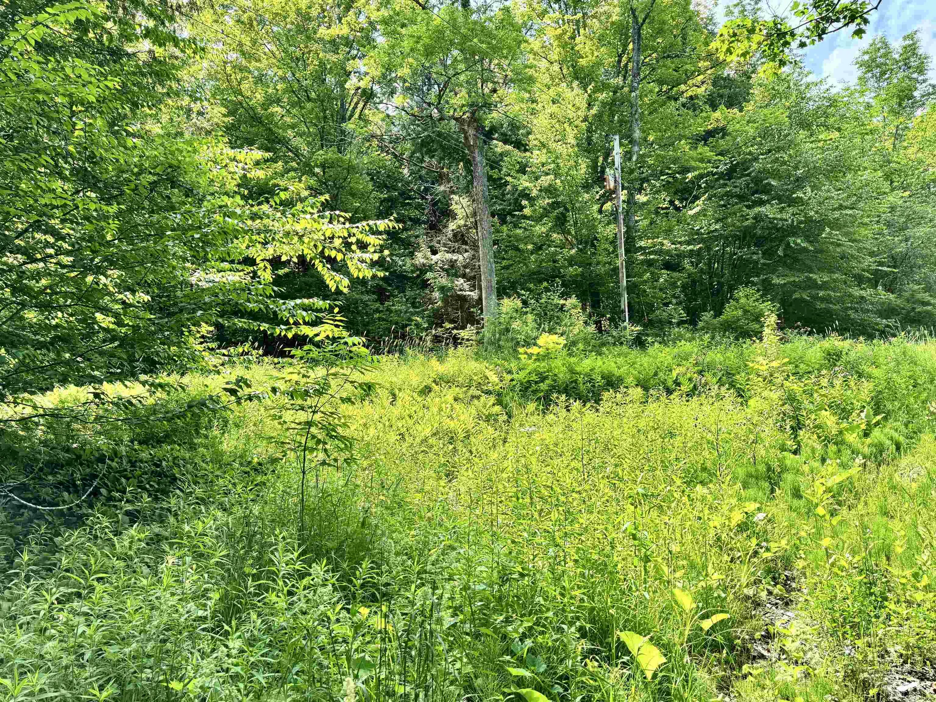 62 Foundry Road Tunbridge VT 05077