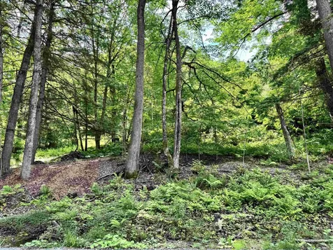 62 Foundry Road Tunbridge VT 05077