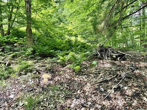 62 Foundry Road Tunbridge VT 05077