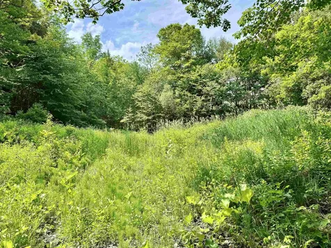 62 Foundry Road Tunbridge VT 05077