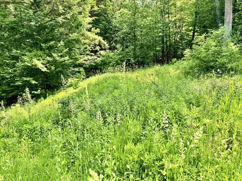 62 Foundry Road Tunbridge VT 05077