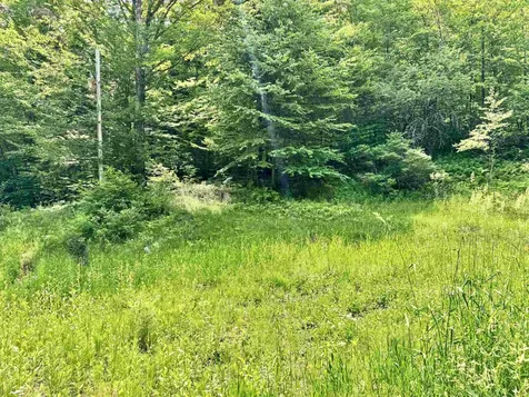 62 Foundry Road Tunbridge VT 05077