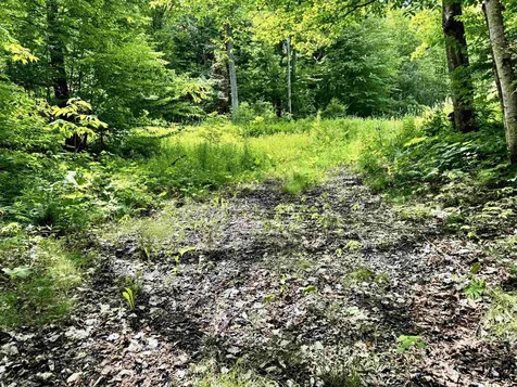 62 Foundry Road Tunbridge VT 05077