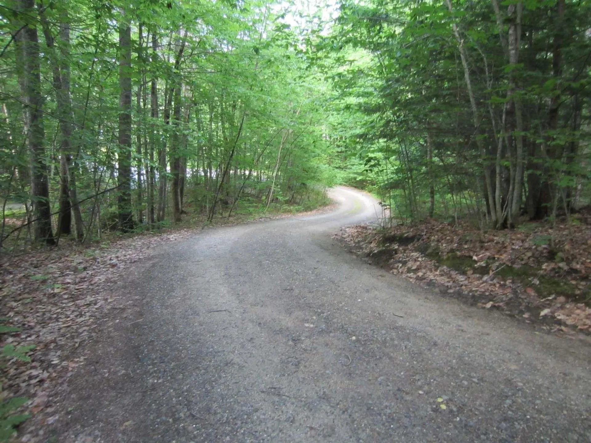 114 Ledgewood Terrace Bridgewater NH 03222