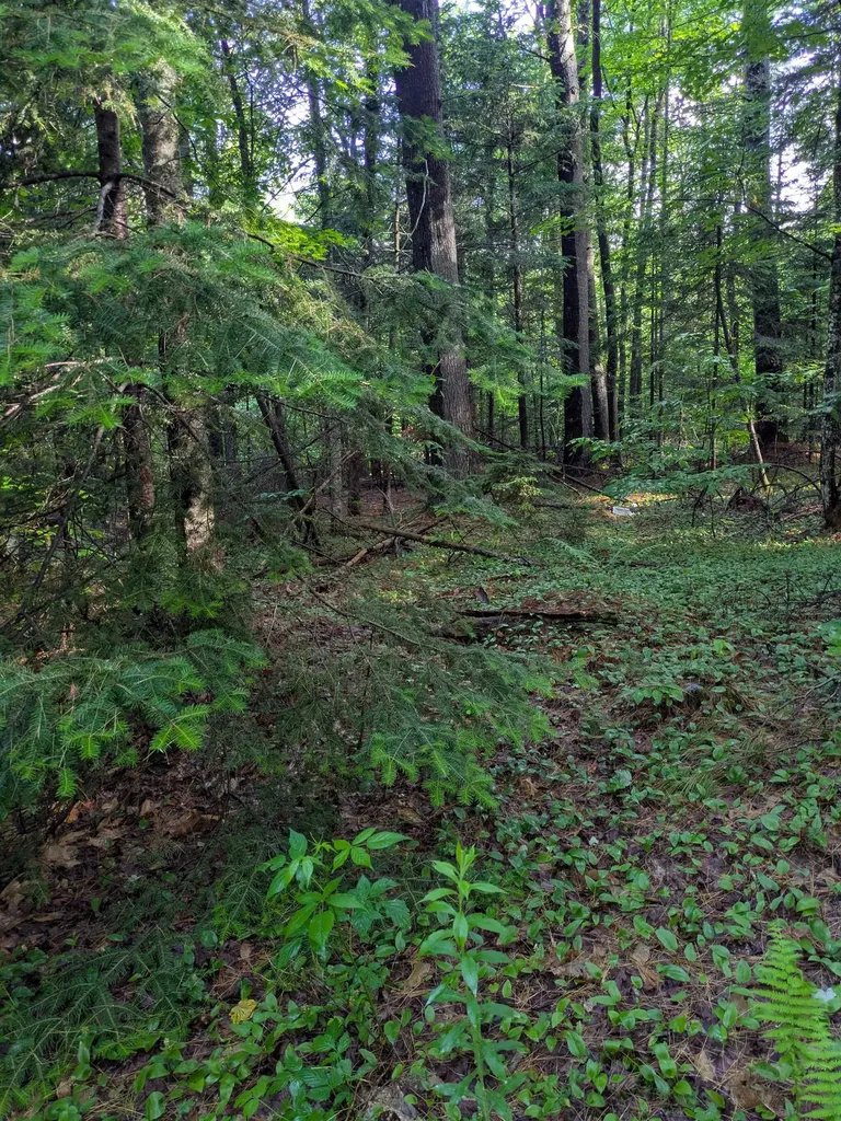 128 Brock Hill Road Grafton NH 03240