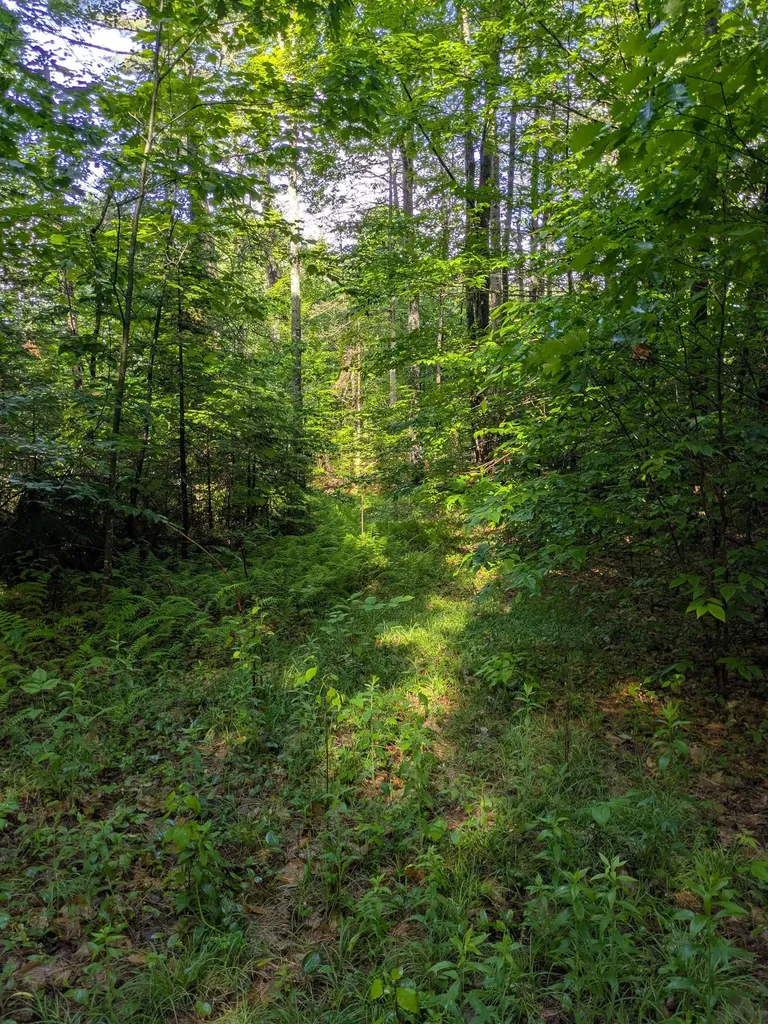 128 Brock Hill Road Grafton NH 03240