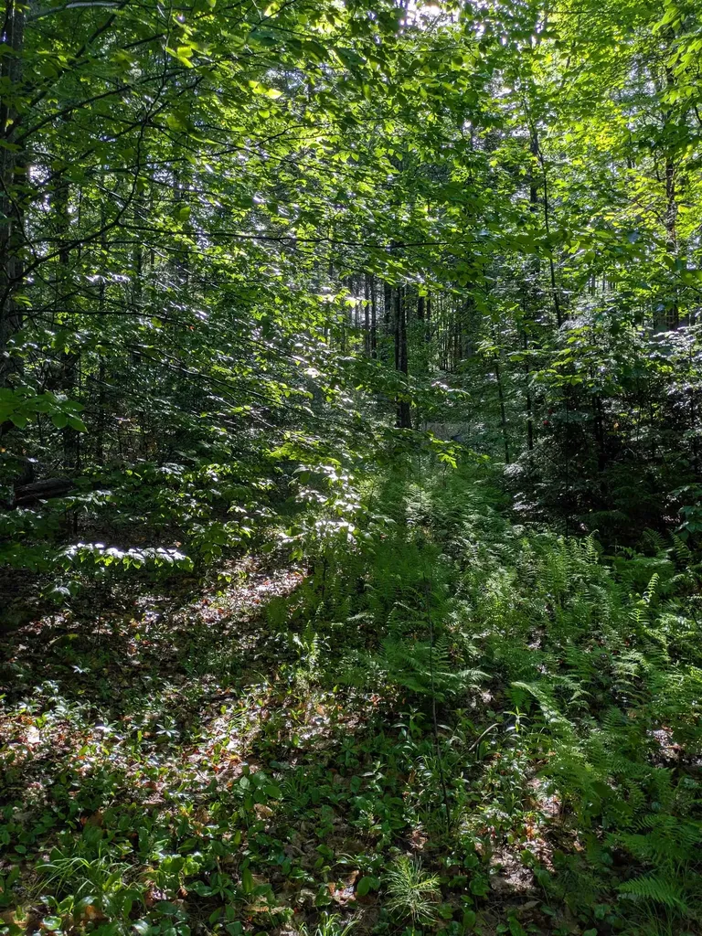 128 Brock Hill Road Grafton NH 03240