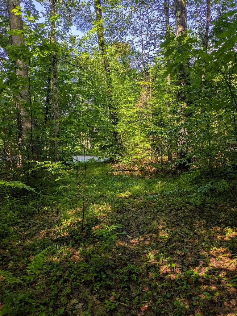 128 Brock Hill Road Grafton NH 03240