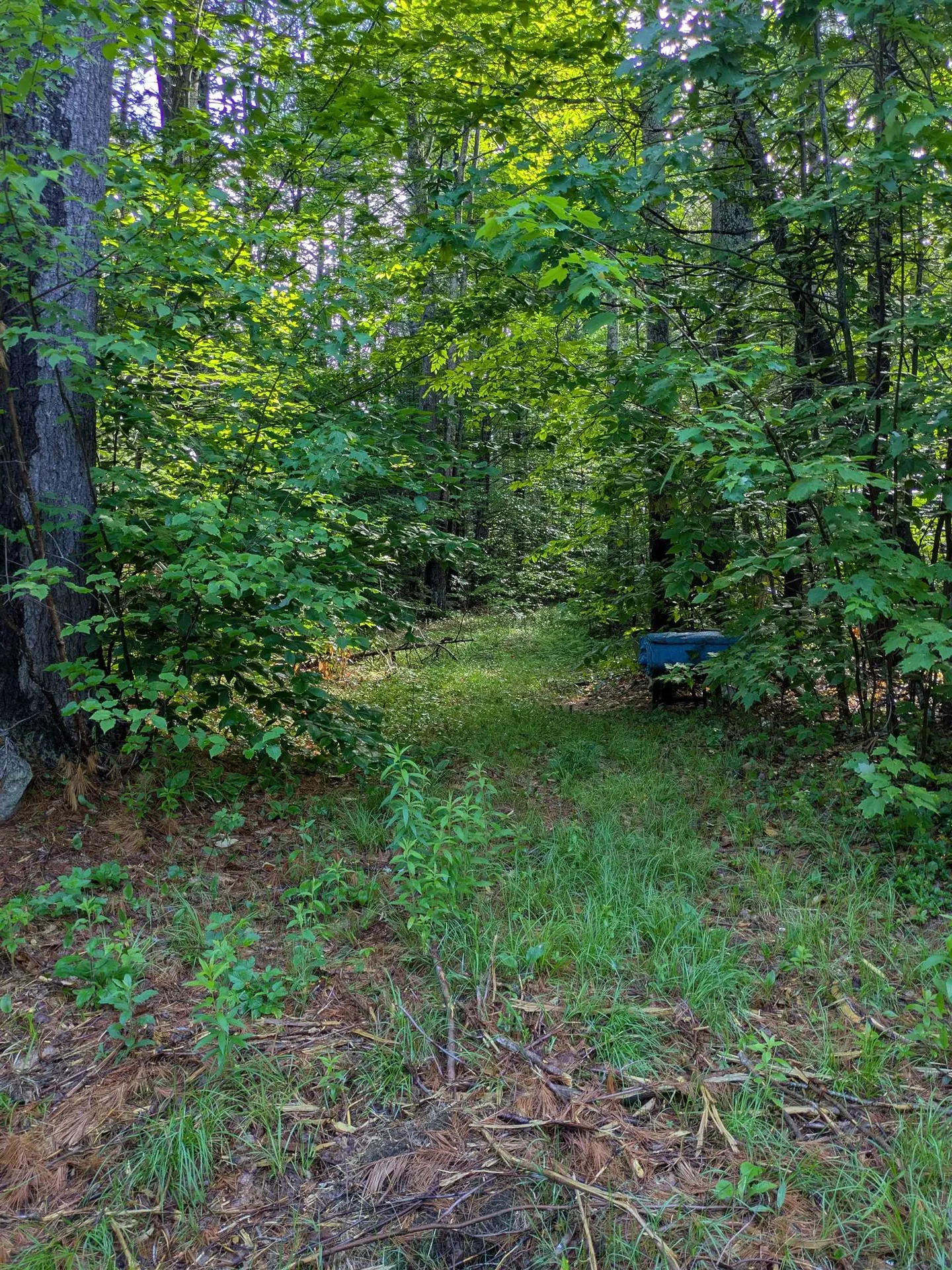 128 Brock Hill Road Grafton NH 03240