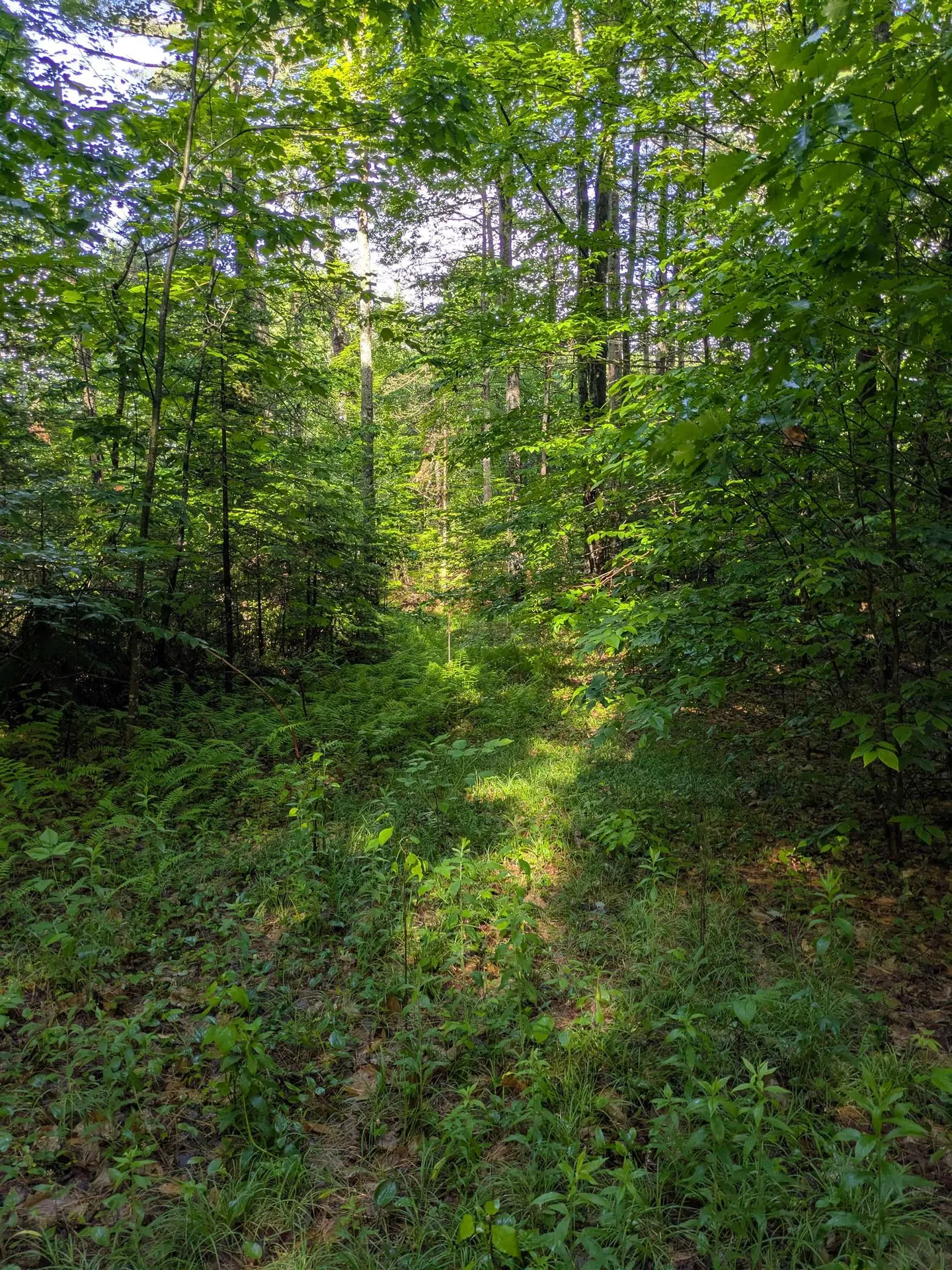 128 Brock Hill Road Grafton NH 03240