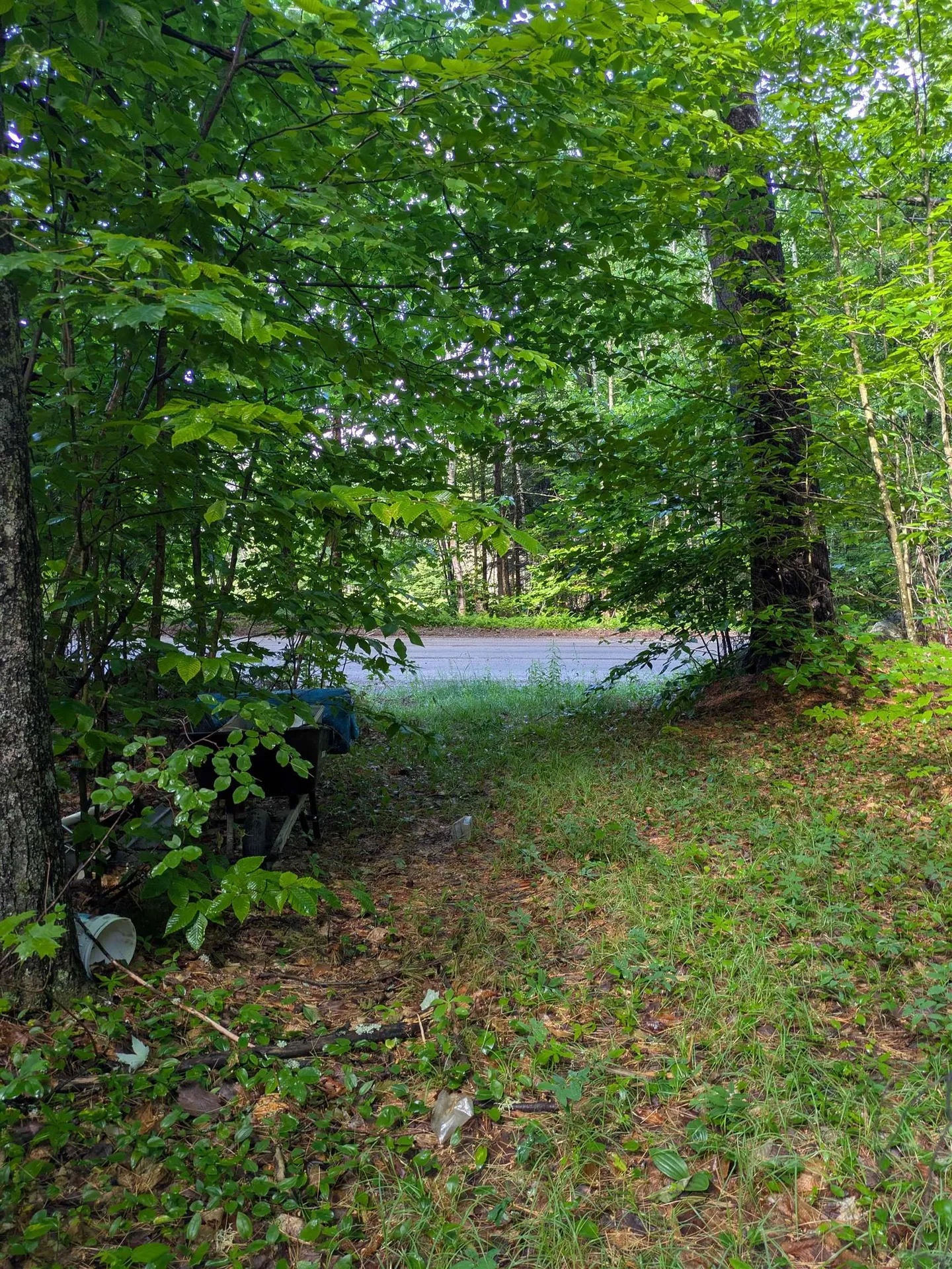 128 Brock Hill Road Grafton NH 03240
