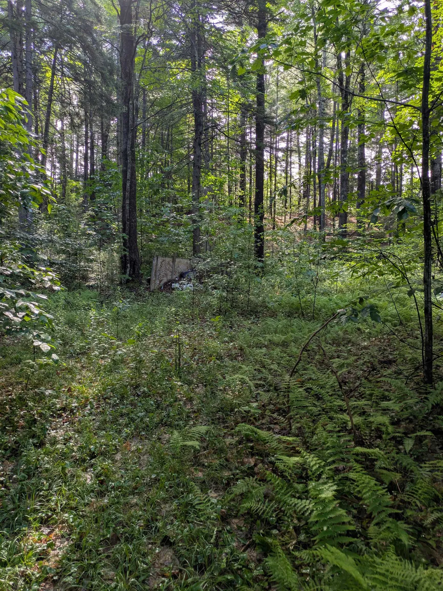 128 Brock Hill Road Grafton NH 03240