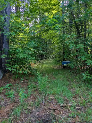 128 Brock Hill Road Grafton NH 03240