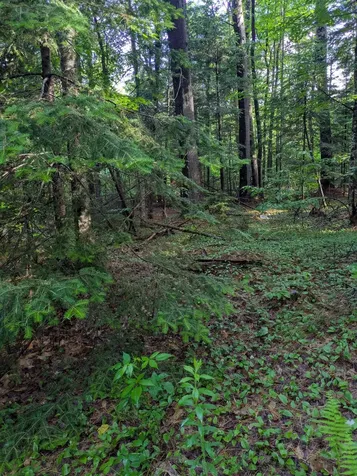 128 Brock Hill Road Grafton NH 03240