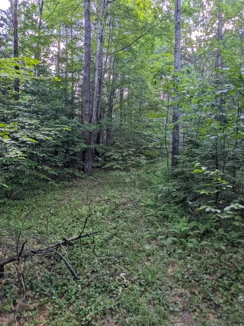 128 Brock Hill Road Grafton NH 03240
