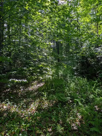 128 Brock Hill Road Grafton NH 03240