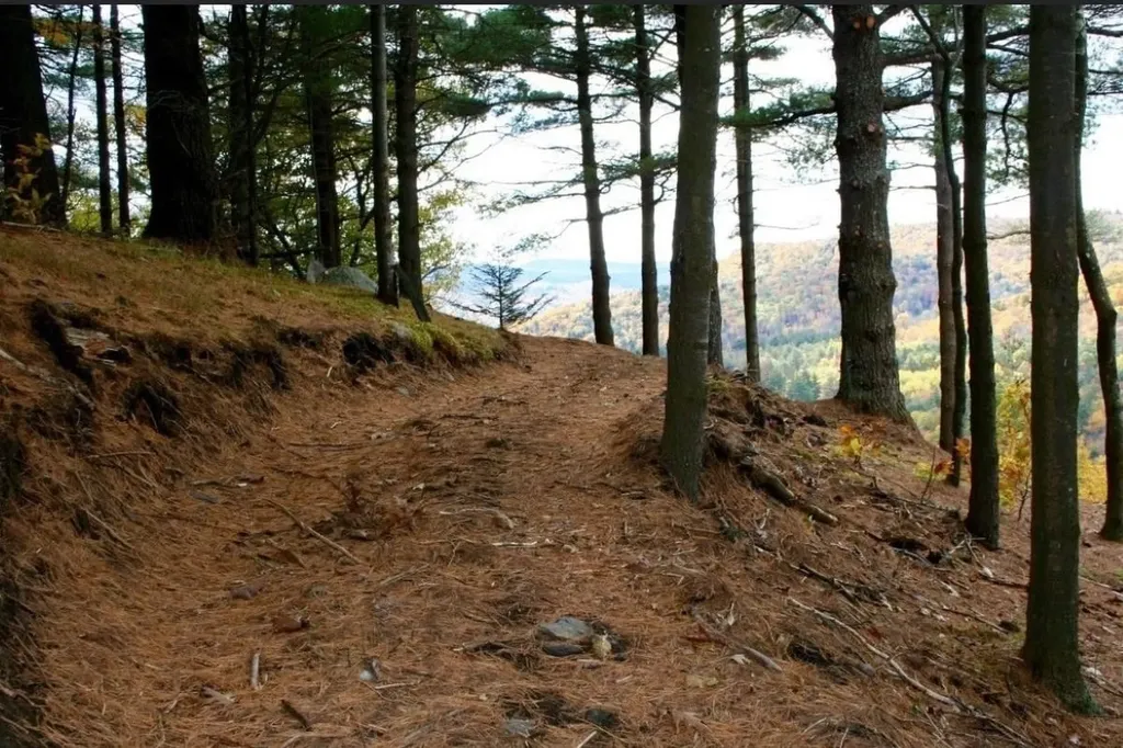 1100 Hougtonville Road Grafton VT 05146