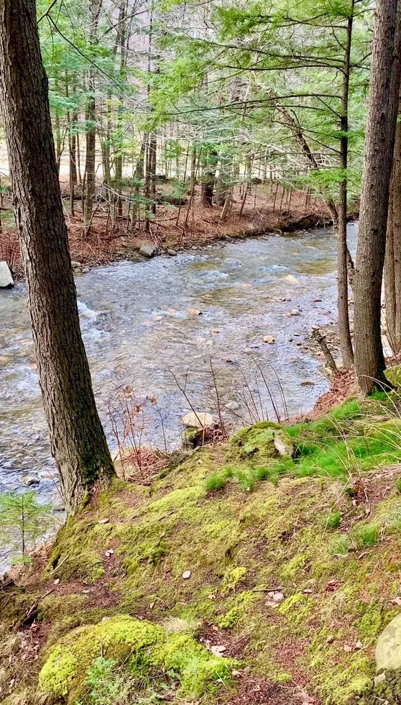 1100 Hougtonville Road Grafton VT 05146