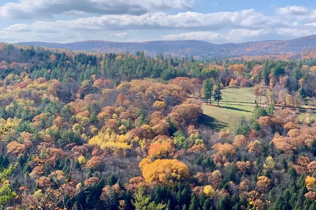 1100 Hougtonville Road Grafton VT 05146