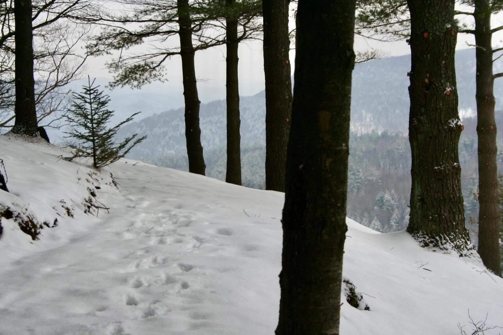 1100 Hougtonville Road Grafton VT 05146