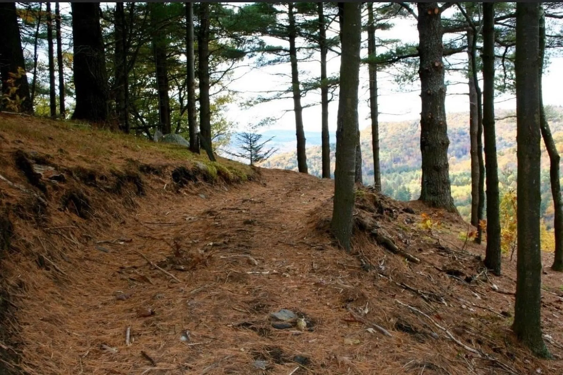 1100 Hougtonville Road Grafton VT 05146