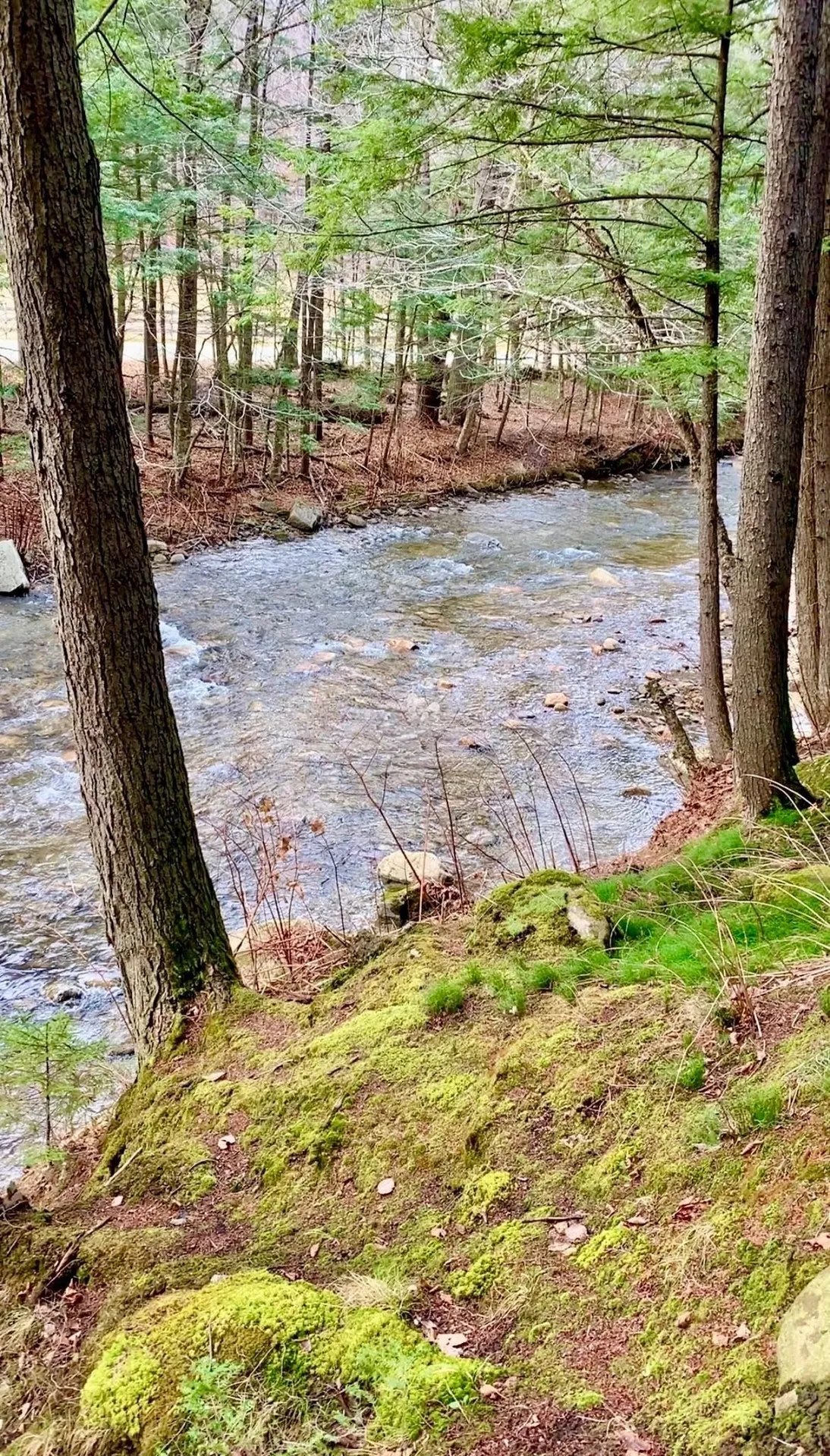 1100 Hougtonville Road Grafton VT 05146