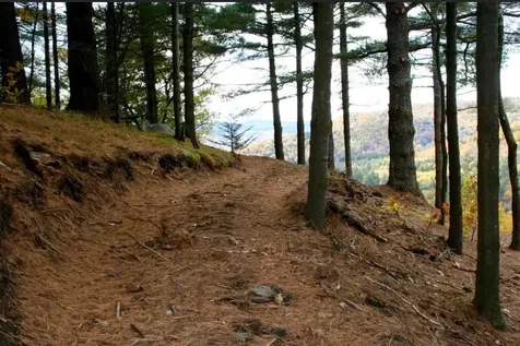 1100 Hougtonville Road Grafton VT 05146