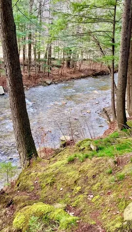 1100 Hougtonville Road Grafton VT 05146