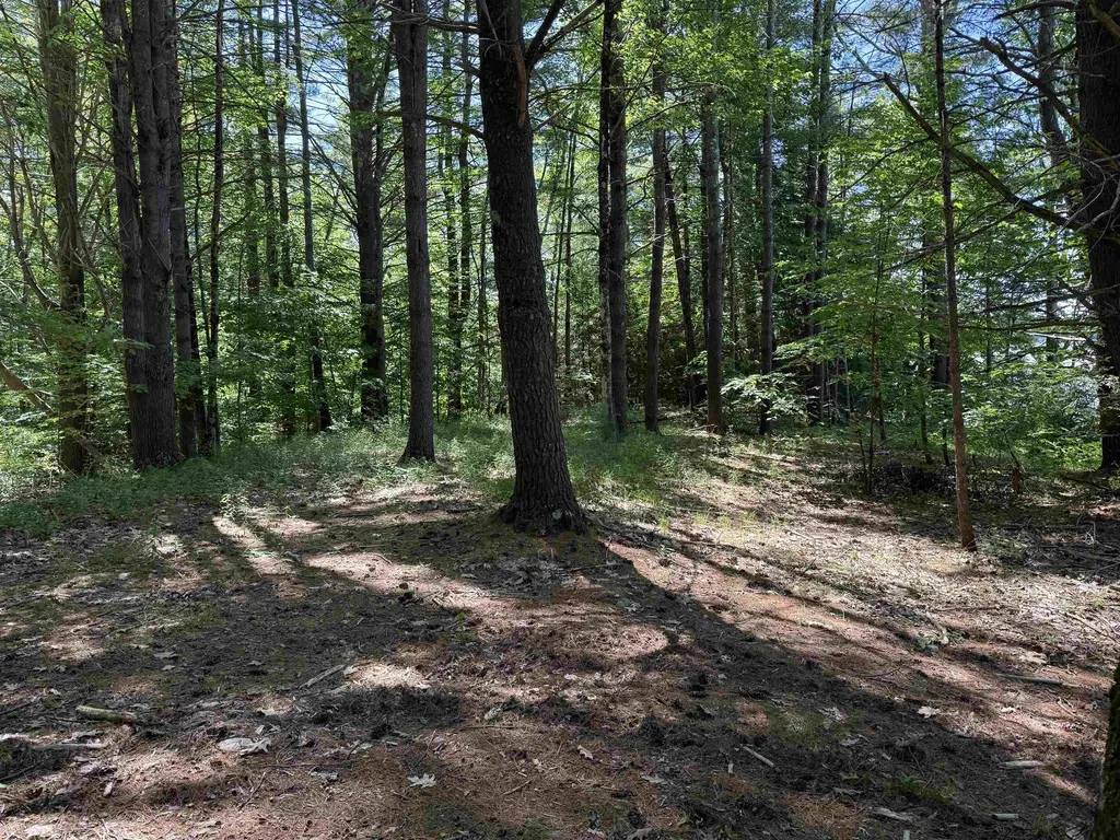 1229 State Route 30s Road Hubbardton VT 05735