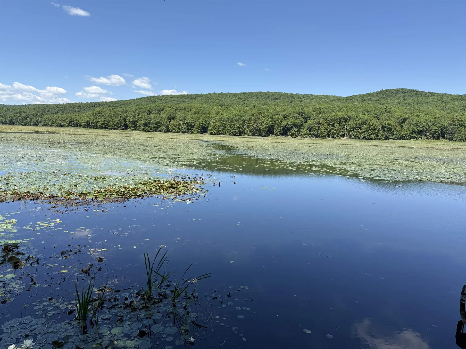1229 State Route 30s Road Hubbardton VT 05735