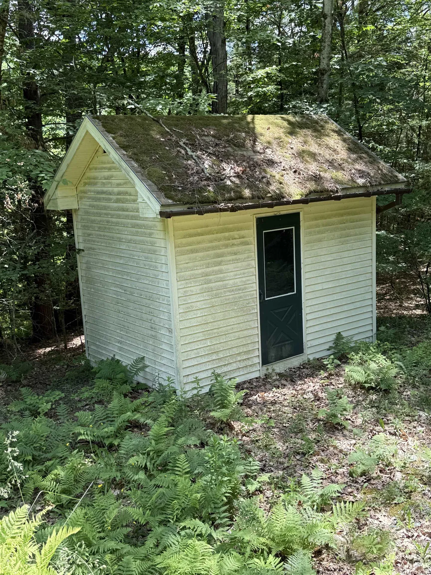 1229 State Route 30s Road Hubbardton VT 05735