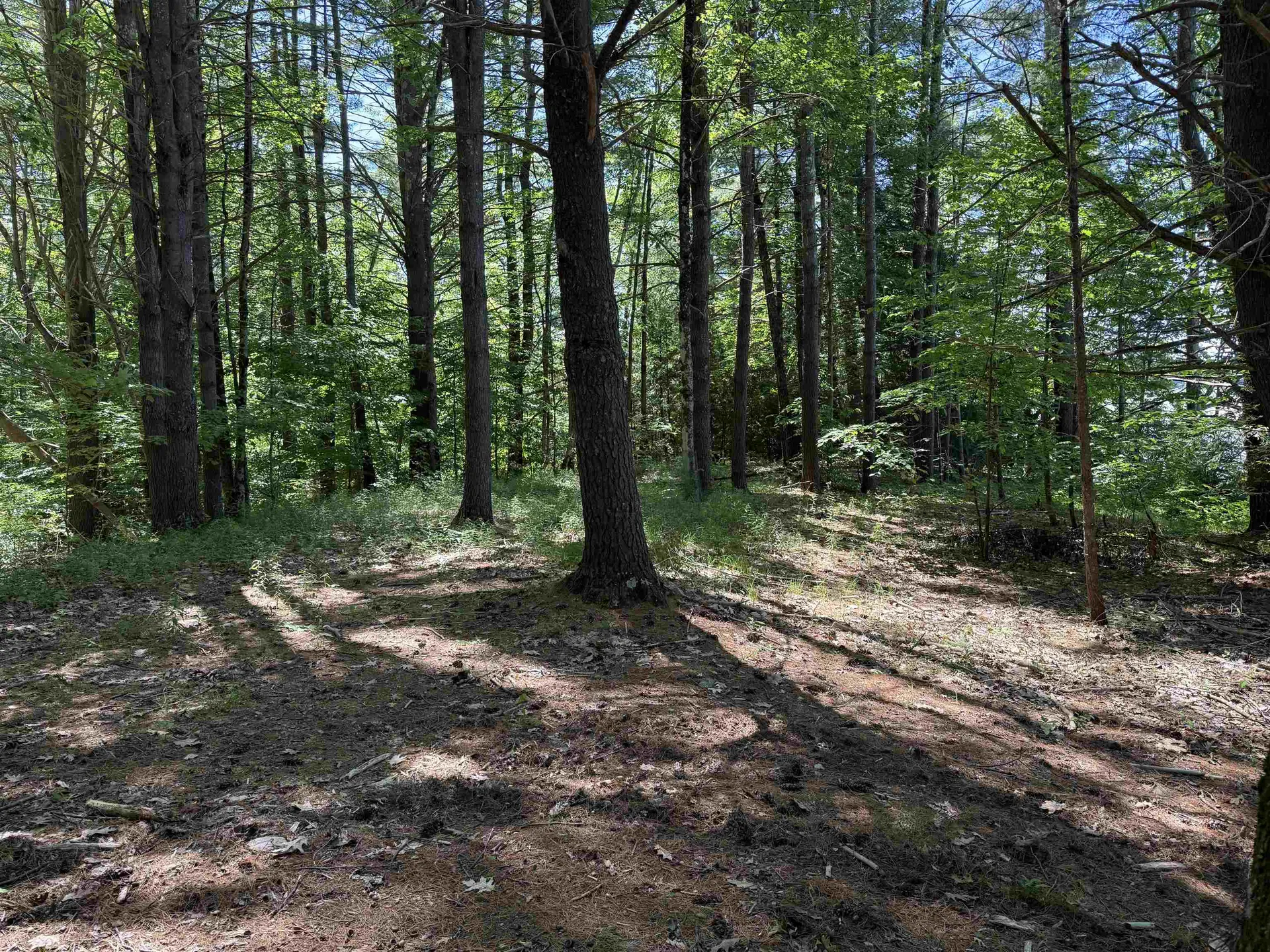 1229 State Route 30s Road Hubbardton VT 05735