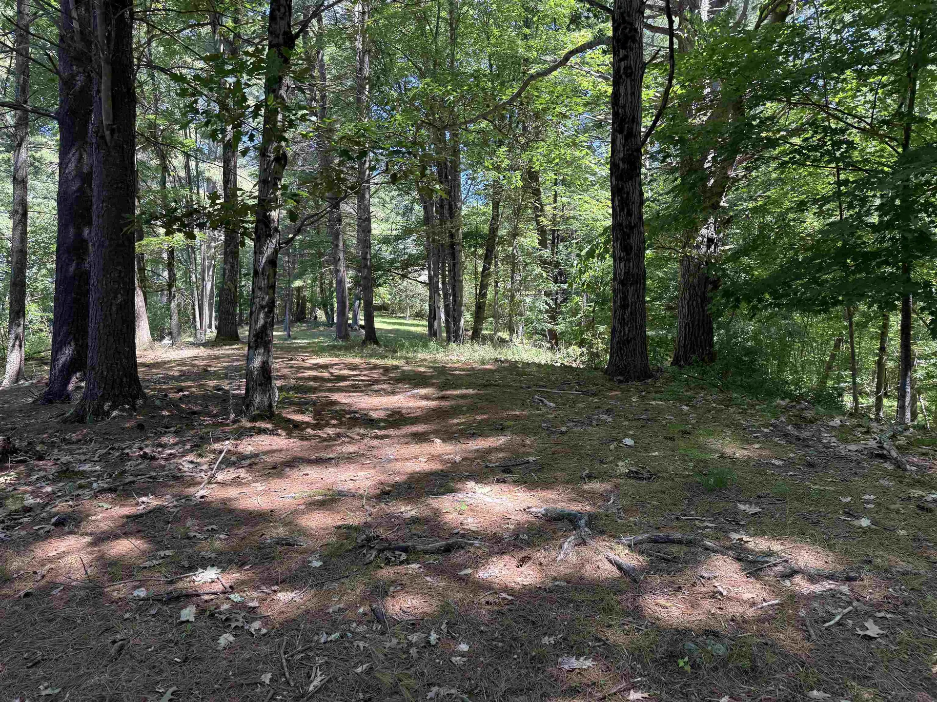 1229 State Route 30s Road Hubbardton VT 05735