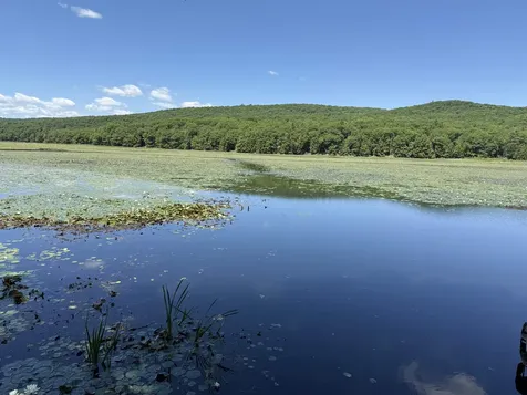 1229 State Route 30s Road Hubbardton VT 05735