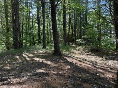 1229 State Route 30s Road Hubbardton VT 05735