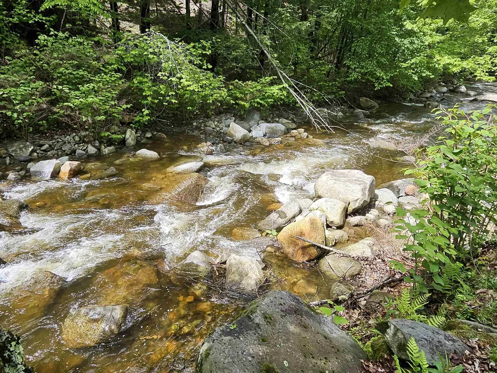 268 South Wardsboro Road Newfane VT 05345