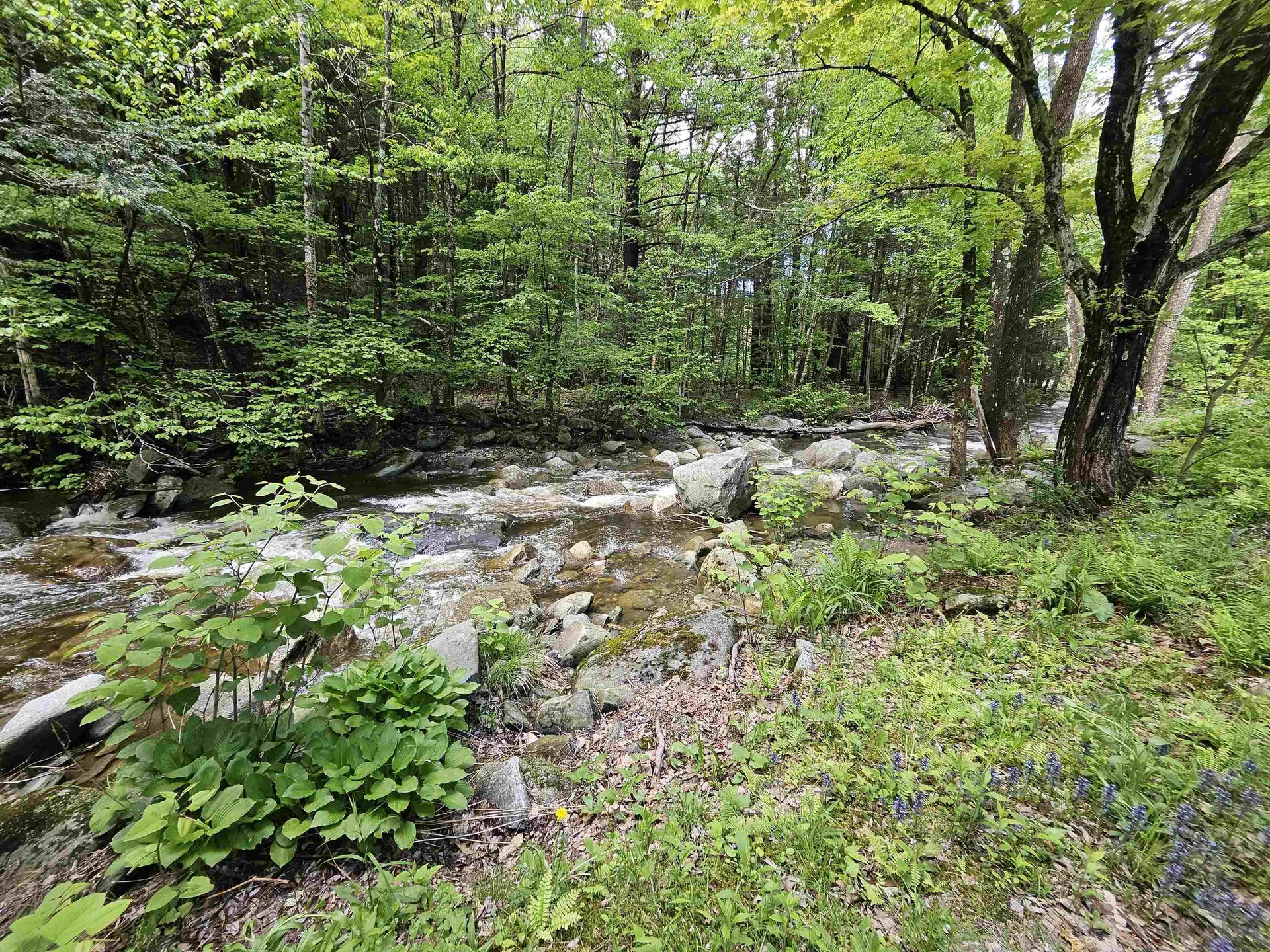 268 South Wardsboro Road Newfane VT 05345