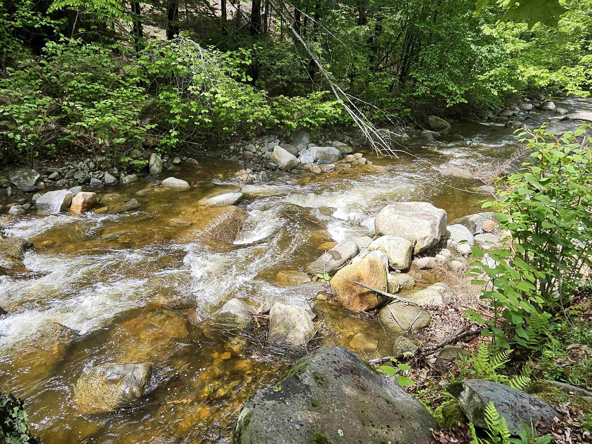 268 South Wardsboro Road Newfane VT 05345